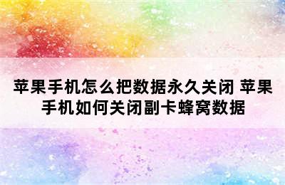 苹果手机怎么把数据永久关闭 苹果手机如何关闭副卡蜂窝数据